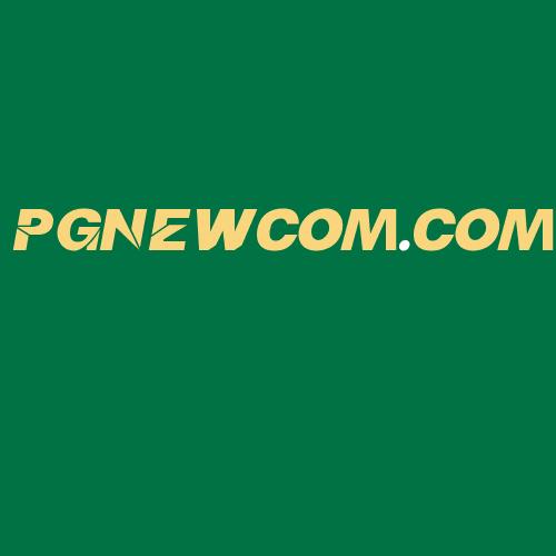 Logo da PGNEWCOM